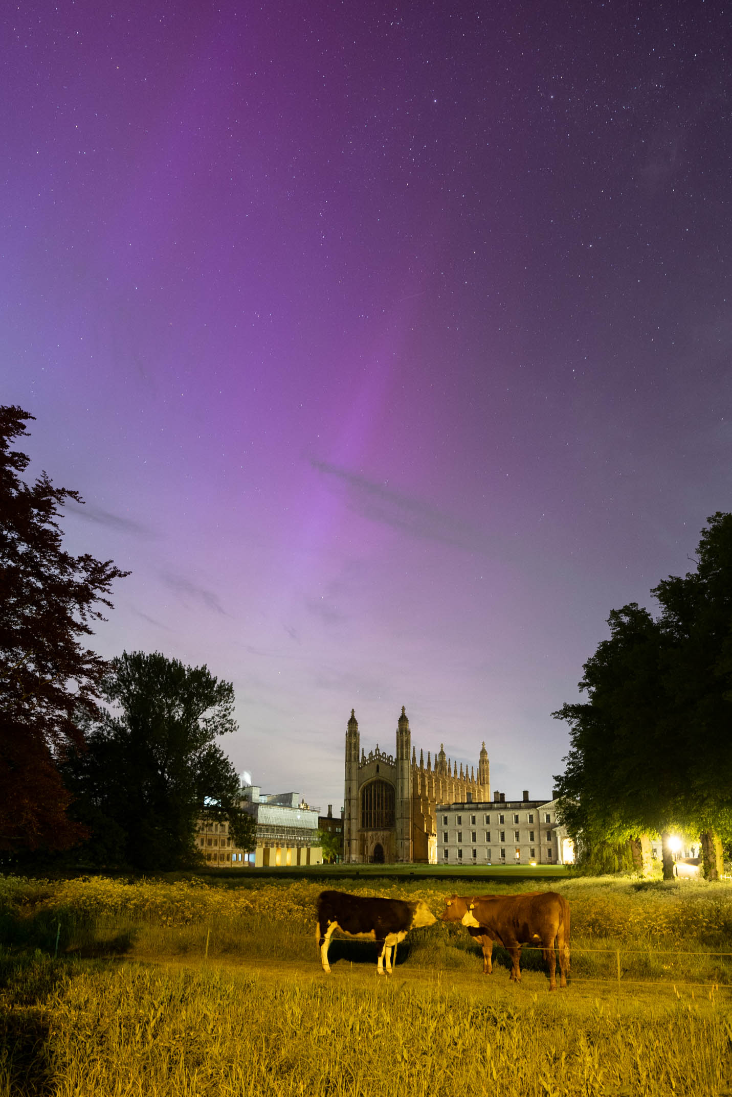 The incredible aurora of the May 2024 solar storm